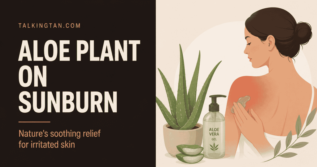 aloe plant